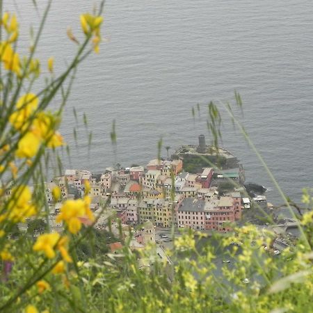 Ca Gialla De Drignana Βερνάτσα Εξωτερικό φωτογραφία