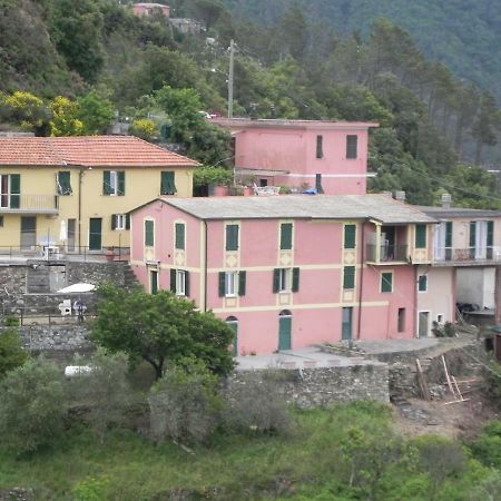 Ca Gialla De Drignana Βερνάτσα Εξωτερικό φωτογραφία
