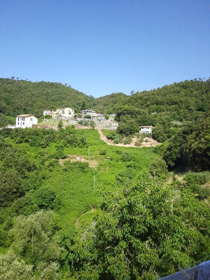 Ca Gialla De Drignana Βερνάτσα Εξωτερικό φωτογραφία