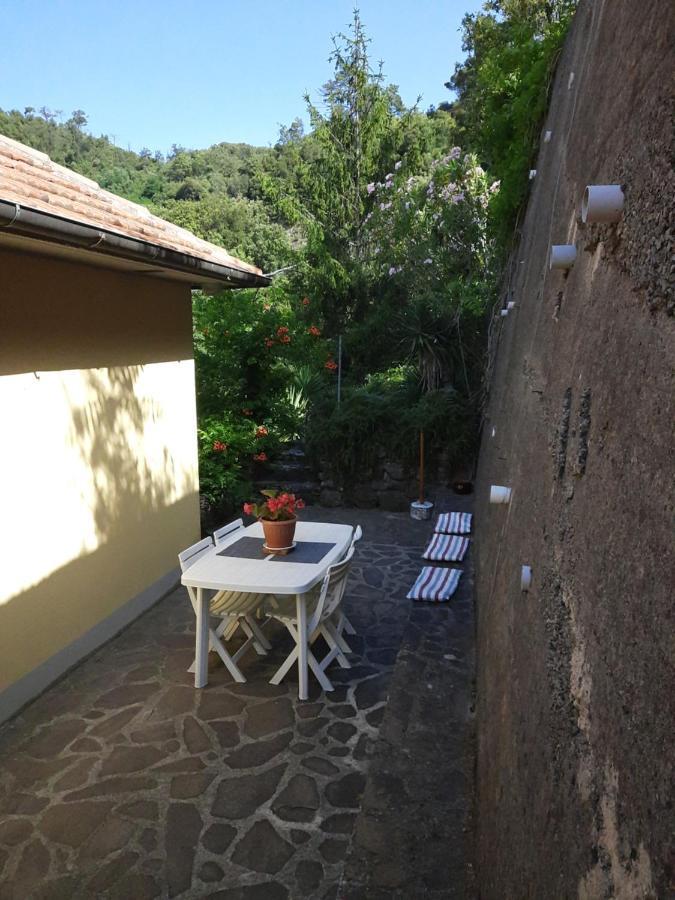 Ca Gialla De Drignana Βερνάτσα Εξωτερικό φωτογραφία