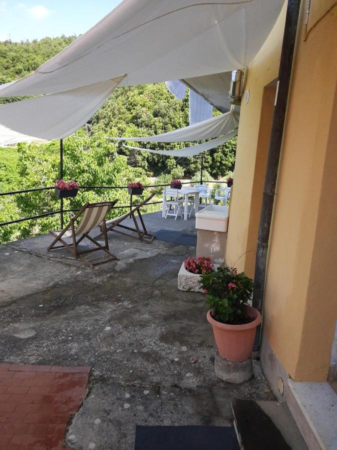 Ca Gialla De Drignana Βερνάτσα Εξωτερικό φωτογραφία