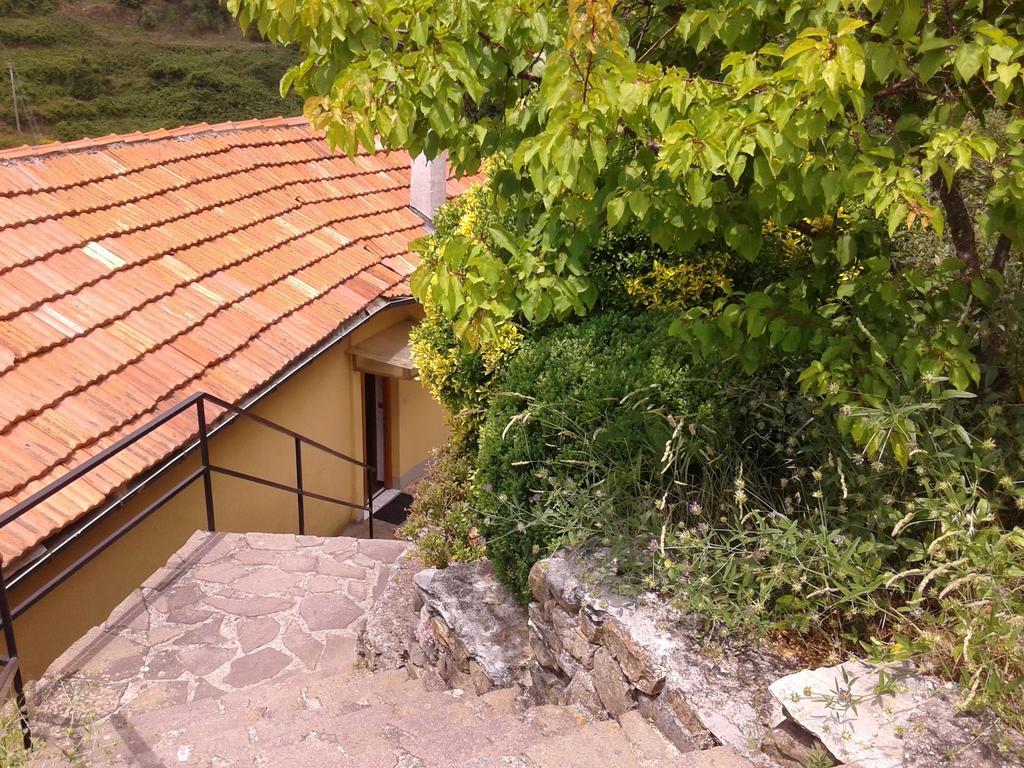 Ca Gialla De Drignana Βερνάτσα Εξωτερικό φωτογραφία