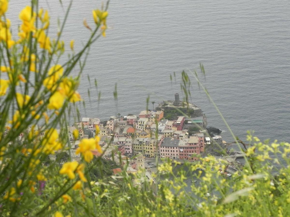 Ca Gialla De Drignana Βερνάτσα Εξωτερικό φωτογραφία