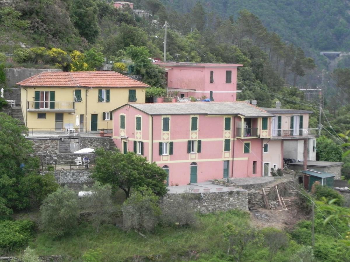 Ca Gialla De Drignana Βερνάτσα Εξωτερικό φωτογραφία