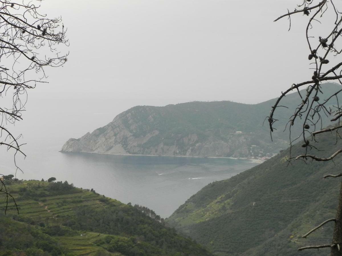 Ca Gialla De Drignana Βερνάτσα Εξωτερικό φωτογραφία